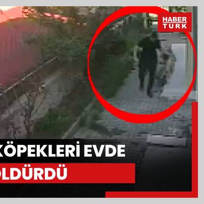 Köpekleri evde parçalayarak öldüren doktor tutuklandı