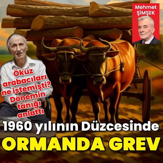 Öküz arabacıları grevi