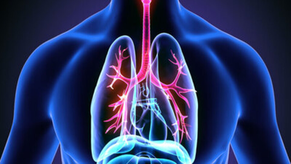 Akciğer nasıl temizlenir?