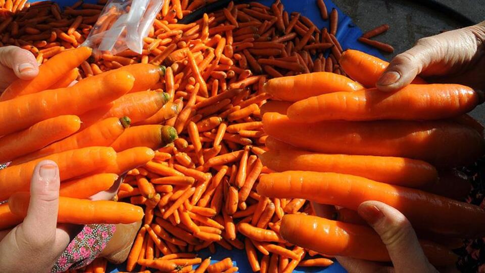 Üretici ile market arasında en yüksek fiyat farkı havuçta