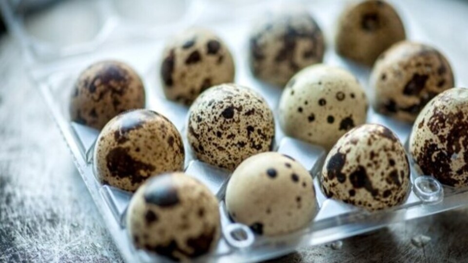 Bıldırcın yumurtası nasıl pişirilir?