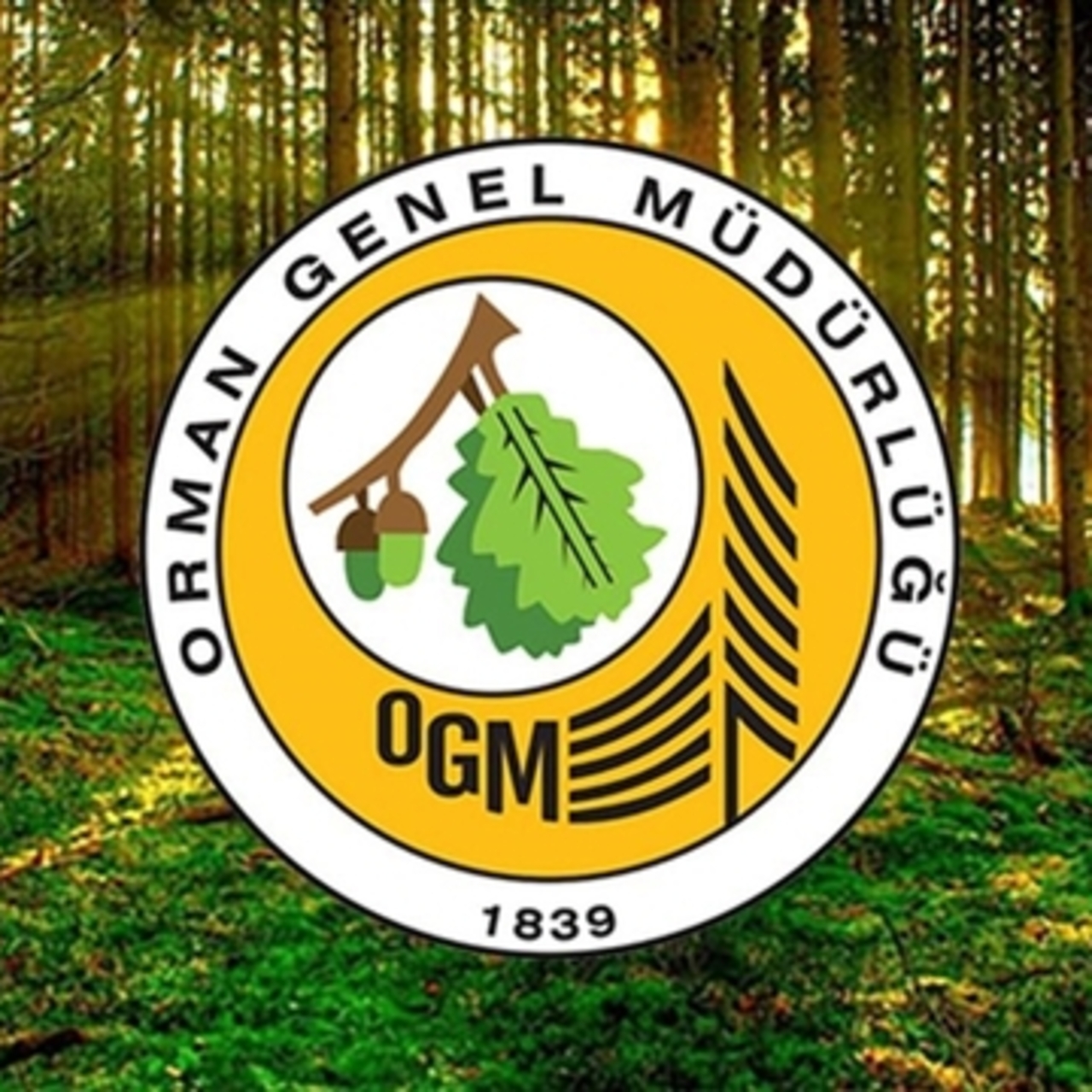 OGM 105 personel alımı yapacak