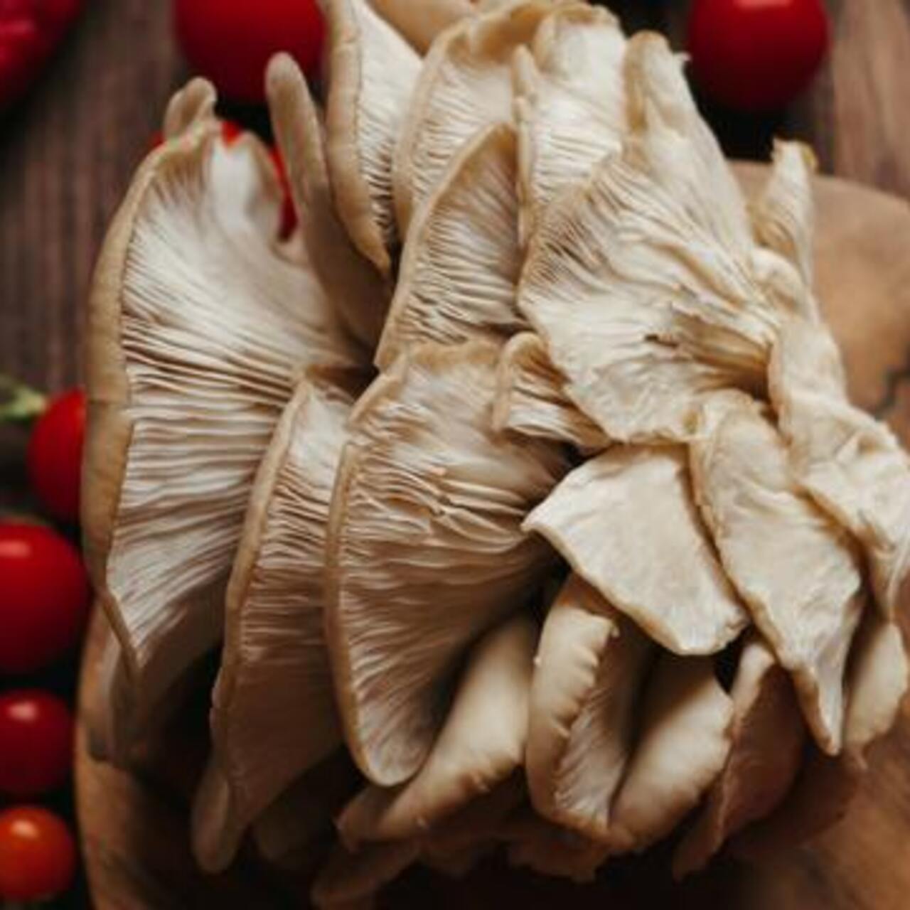 İstridye mantarı nasıl temizlenir?
