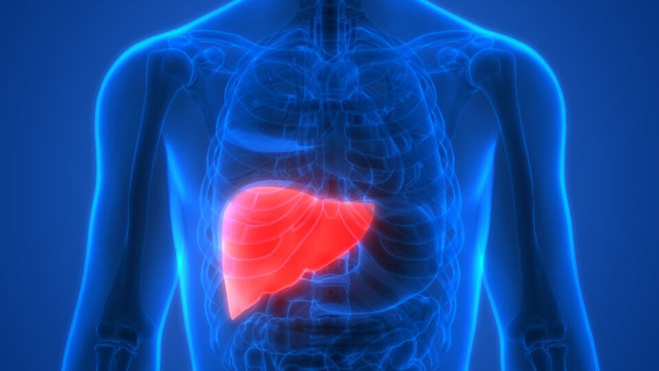 Karaciğer nasıl temizlenir?
