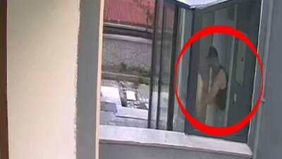 Sahiplendiği 26'i köpeği öldürdü! "Açık camdan gittiler"