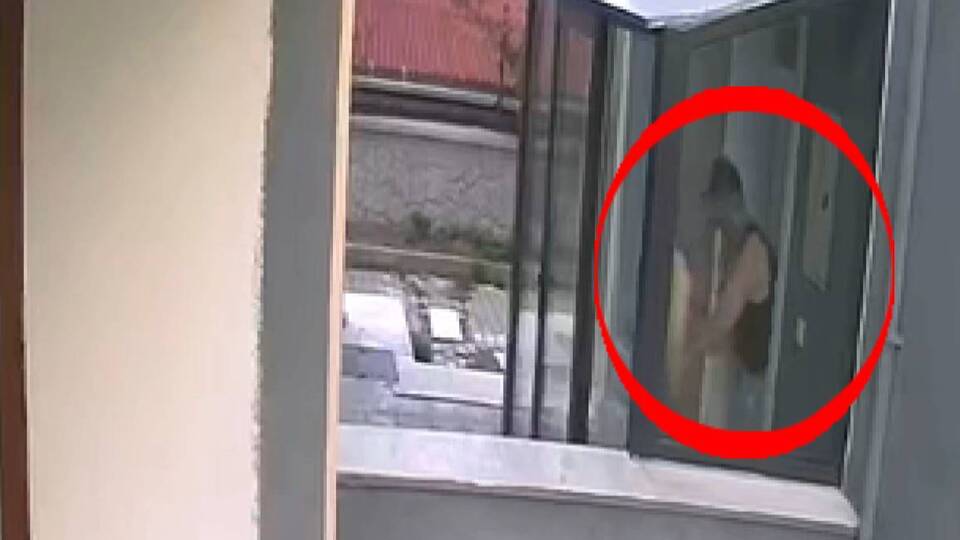 Sahiplendiği 26'i köpeği öldürdü! "Açık camdan gittiler"