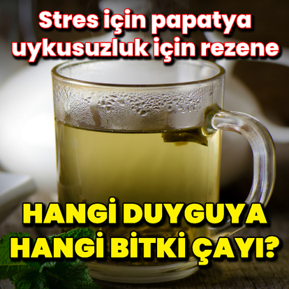 Hangi duyguya hangi bitki çayı?