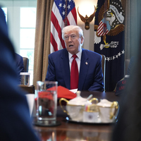 ABD'de "Trump daha fazla denetlensin" talebi