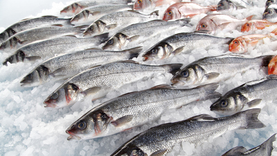 Sarıkanat nasıl pişirilir?