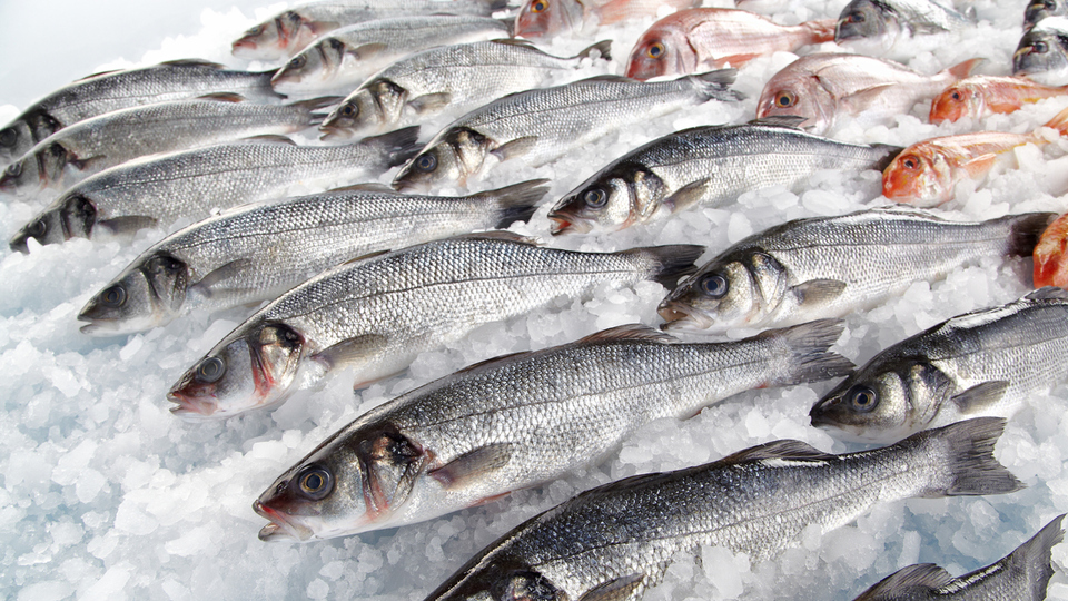 Sarıkanat nasıl pişirilir?