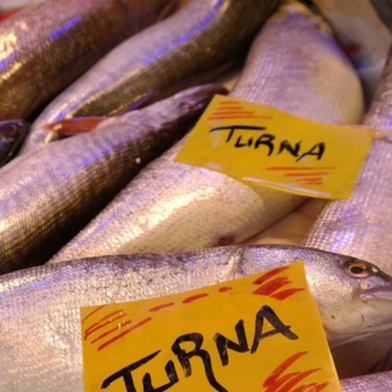 Turna balığı nasıl pişirilir? 