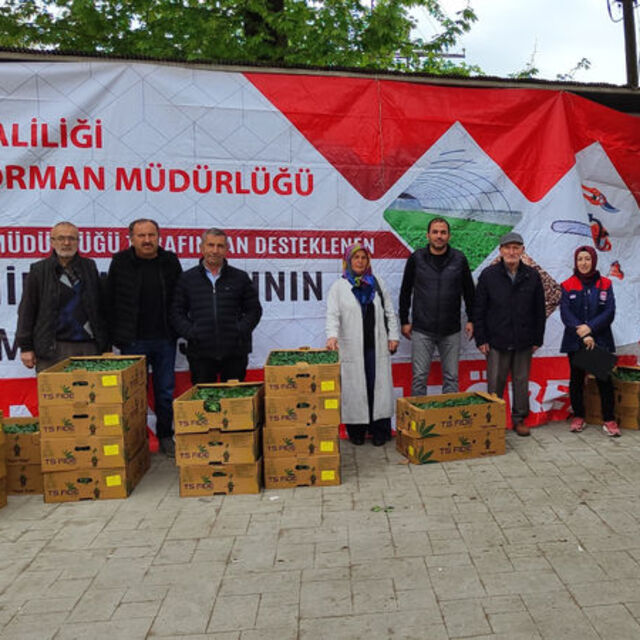 Düzce'de fide dağıtımı yapıldı