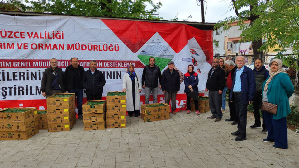 Düzce'de fide dağıtımı yapıldı