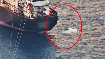 Antalya Körfezi'nde alarm: 3 kat arttı