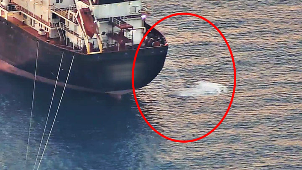 Antalya Körfezi'nde alarm: 3 kat arttı