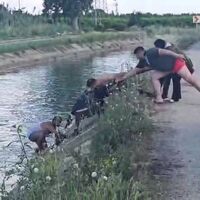 Araçla sulama kanalına uçtu, yardımları reddetti – Güncel haberler
