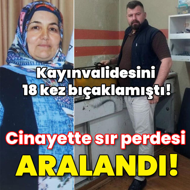 Kayınvalidesini 18 kez bıçaklamıştı! Cinayette sır perdesi aralandı!