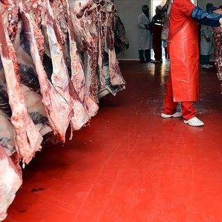 Kırmızı et üretimi yüzde 11,7 azaldı