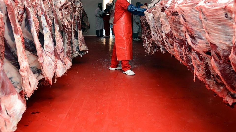 Kırmızı et üretimi yüzde 11,7 azaldı