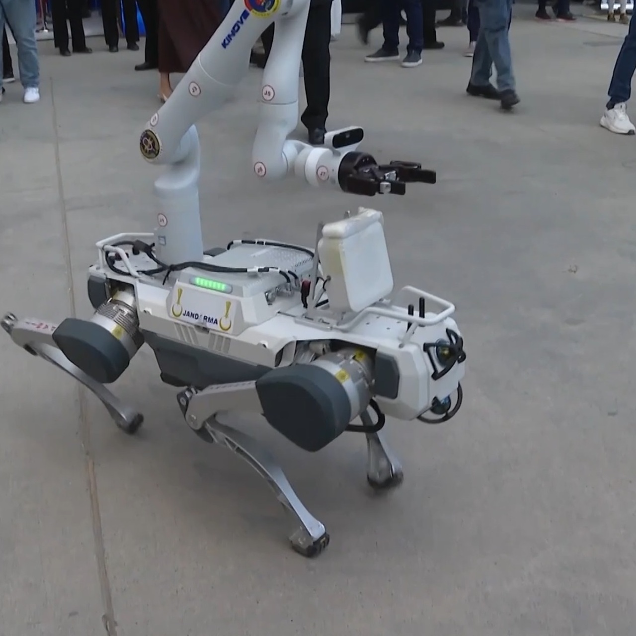 Patlayıcılara 'robot köpek'le müdahale