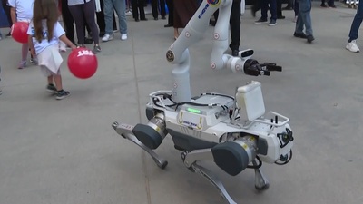 Patlayıcılara 'robot köpek'le müdahale