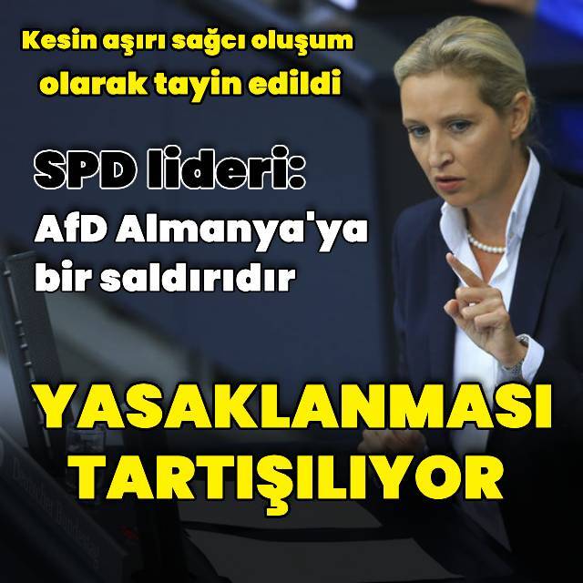 Almanya'da aşırı sağcı partinin yasaklanması tartışılıyor