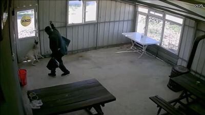 Köpeği bastonla dövdü, serbest bırakıldı