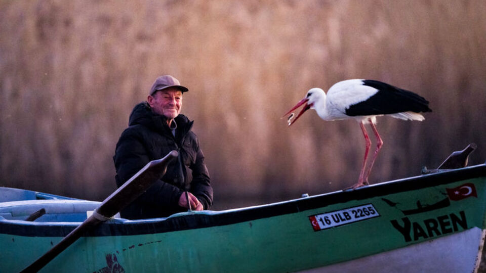 Yaren leylek baba oldu!