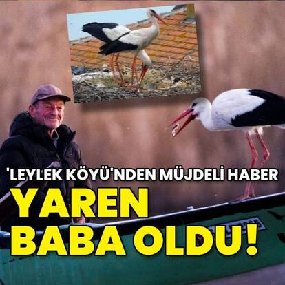 Yaren leylek baba oldu!