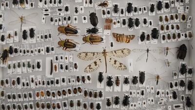 Literatüre kazandırdı, ailesinin adını verdi