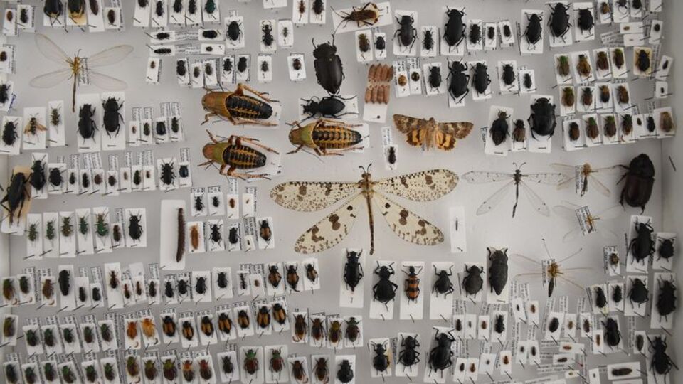 Literatüre kazandırdı, ailesinin adını verdi