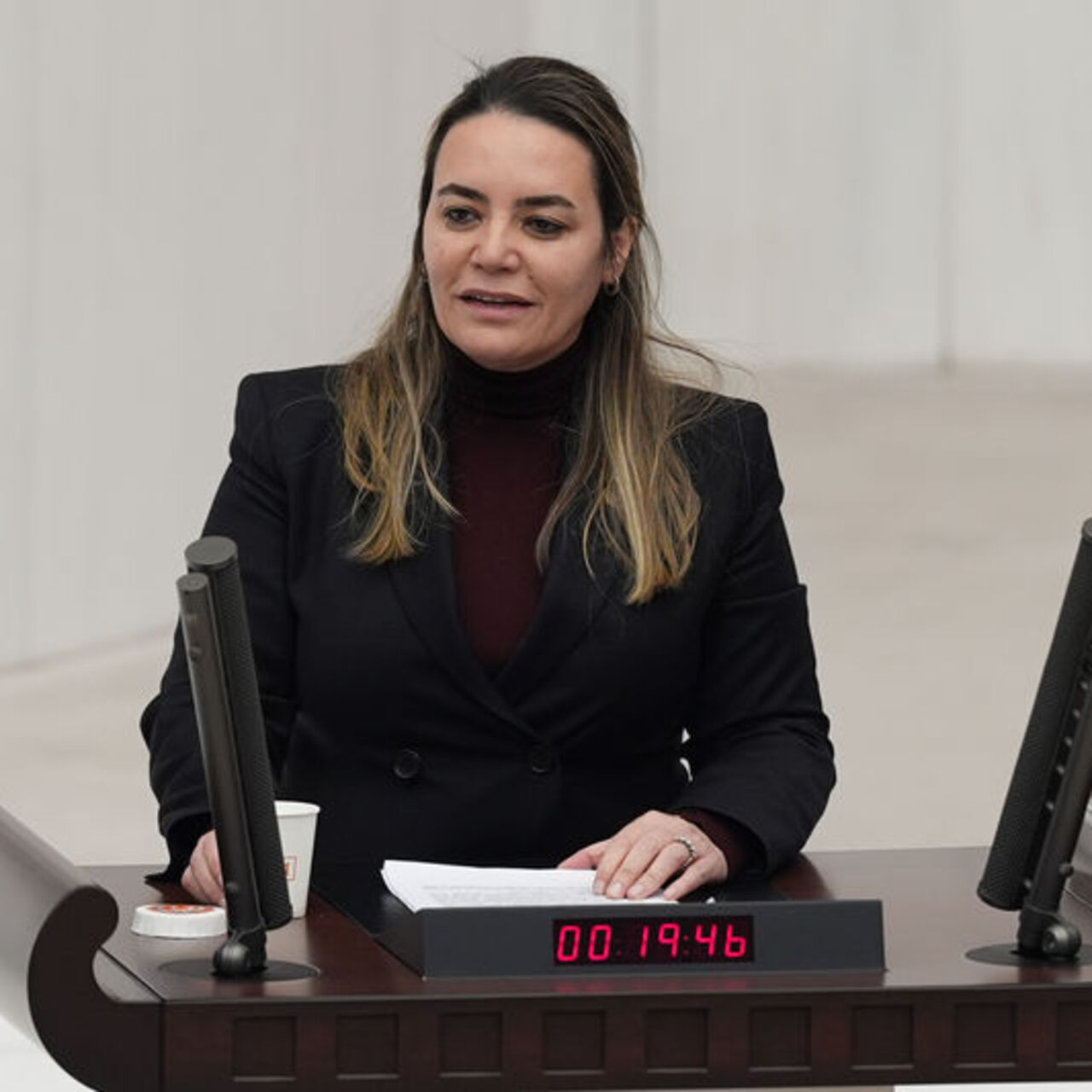 Türkeş'in milletvekili kızına saldırı