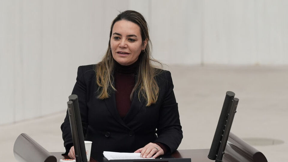 Türkeş'in milletvekili kızına saldırı