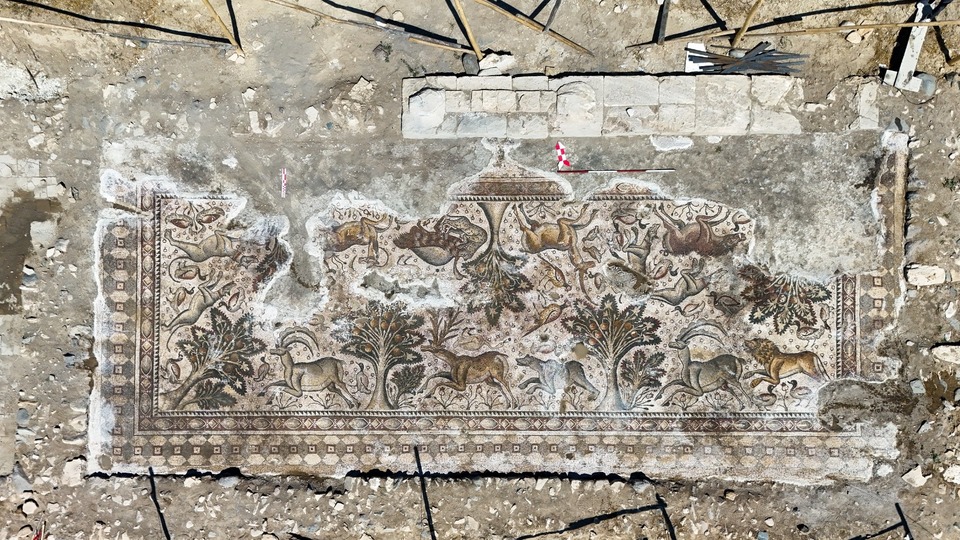 "Salkaya Köyü'ndeki kazılar, bölgenin tarihine ışık tutuyor"