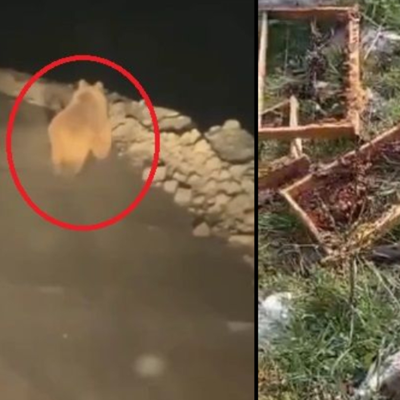 Arı kovanlarını parçaladı