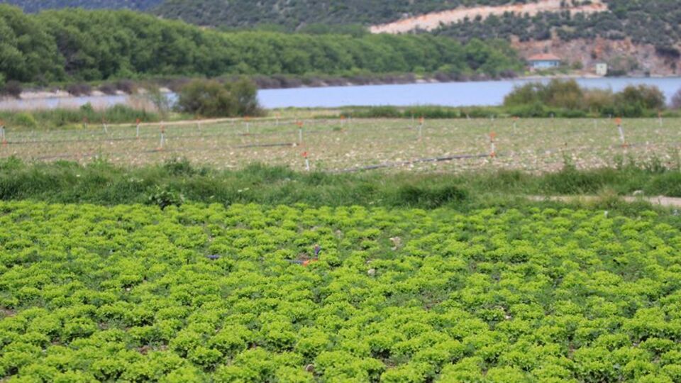 Barajda tarım yapanlar hakkında işlem başlatıldı