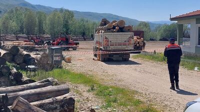 Üzerine tomruk devrilen işçi öldü