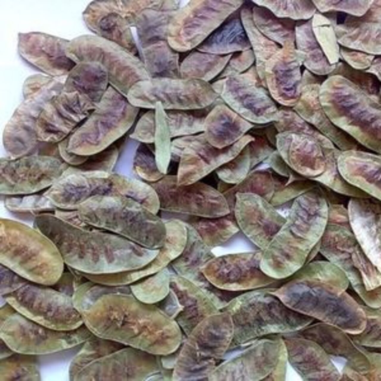 Açlık otunun doğru kullanımı
