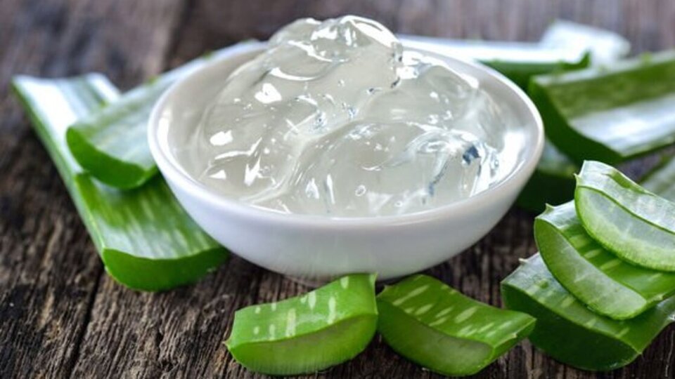 Aloe Vera jelinin doğru kullanımı