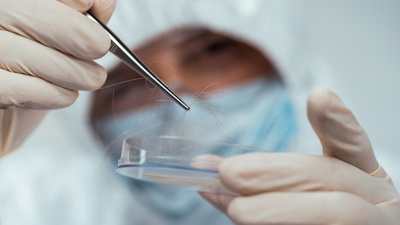 Adli bilimler bölümü nedir?