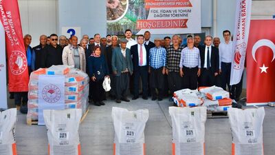 Mersin'de ayçiçeği tohumu dağıtıldı