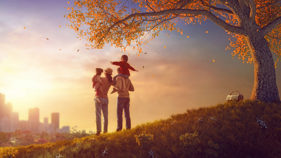 Ev idaresi bölümü nedir?