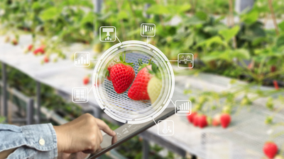 Gıda teknolojisi bölümü nedir?