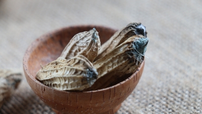 TÜGİS'ten aflatoksin riski uyarısı