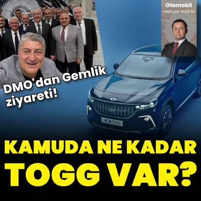 Kamuda ne kadar Togg var?