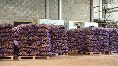 Türkiye'ye gelen 2 bin ton patates virüslü çıktı