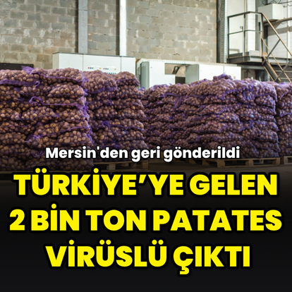 Türkiye’ye gelen 2 bin ton patates virüslü çıktı