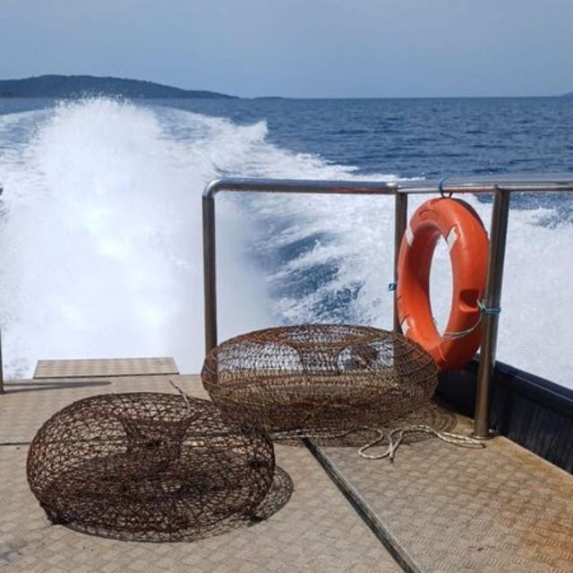 Gökova Körfezi'nde kaçak av denetimi