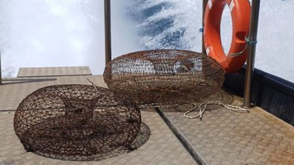 Gökova Körfezi'nde kaçak av denetimi