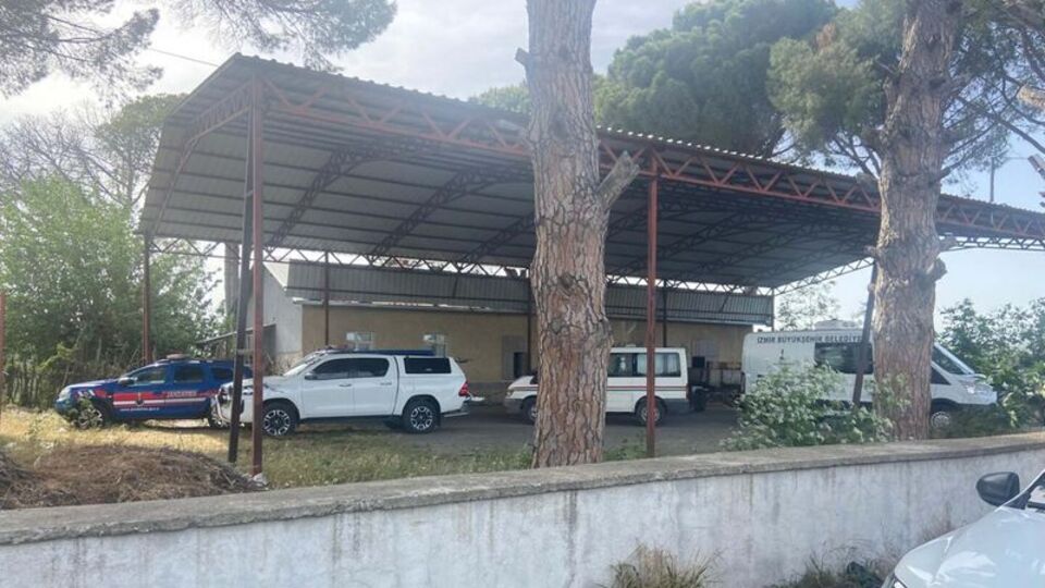 İki sevgili ağaçta asılı halde bulundu